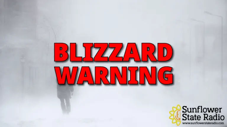 Blizzard Warnings: What You Need to Know