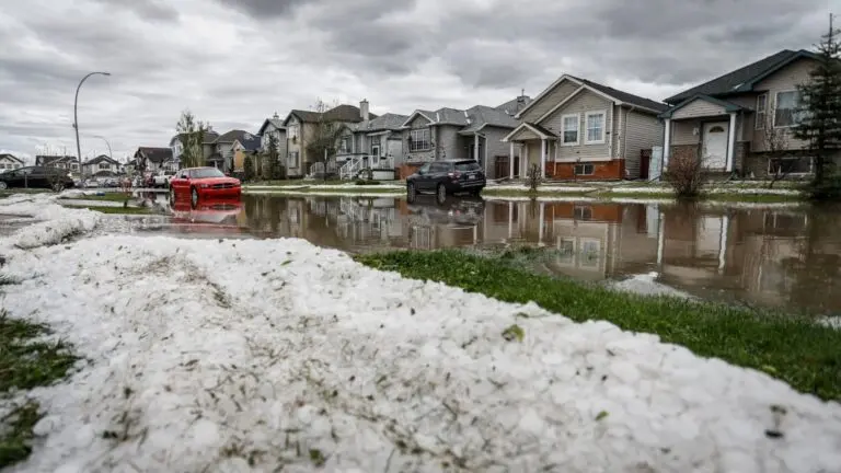 Recent Hail Storm Strikes Calgary: What You Need to Know