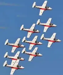 The Rise of Canadian Snowbirds: Trends and Economic Impact