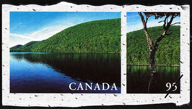 Current Updates from Cape Breton Post image 1