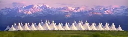 Denver: A Hub of Culture, Innovation, and Growth
