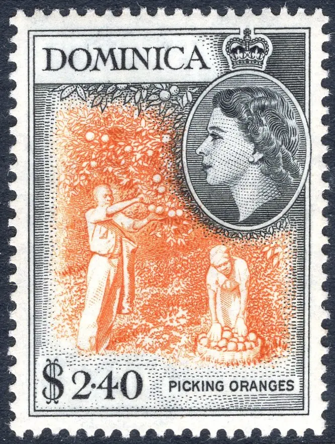 Exploring Dominica: The Nature Island of the Caribbean