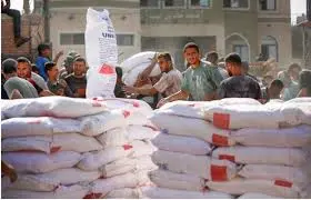 The Ongoing Crisis in Gaza: An In-Depth Overview