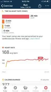Understanding the Importance of Heart Health image 1