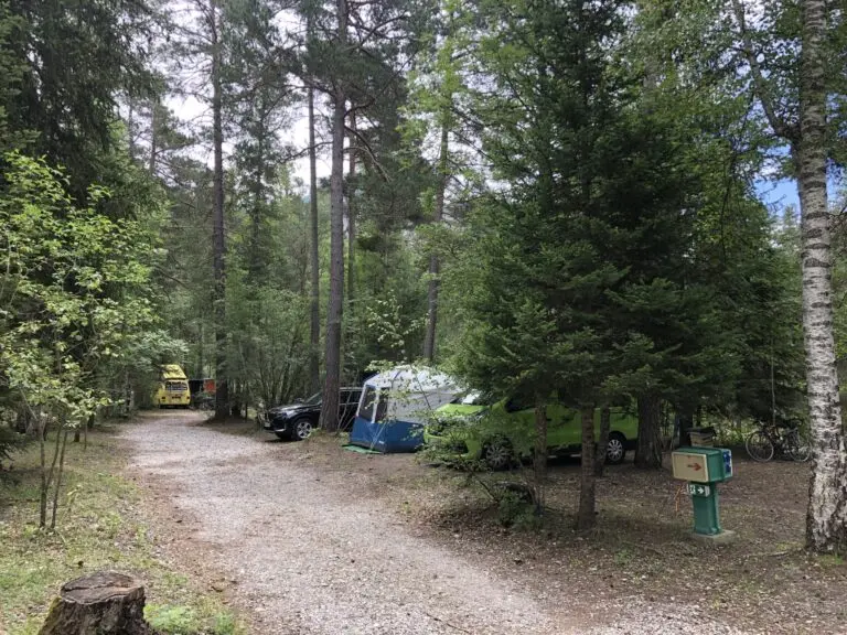 Larch Park: Your Perfect Outdoor Getaway