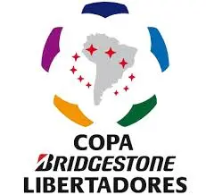 Understanding the Copa Libertadores: History and Significance