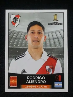 The Importance of the Libertadores in South American Football image 1