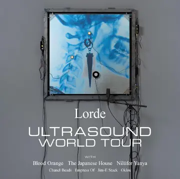 Lorde’s Upcoming Tour: What Fans Can Expect