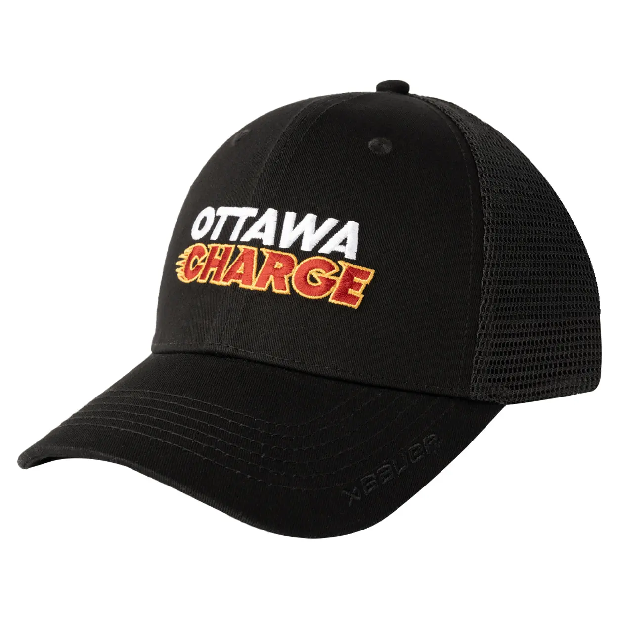 Understanding the Ottawa Charge Initiative and Its Importance image 1