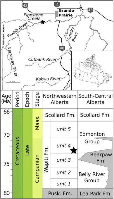 Exploring Pipestone Creek: A Historic Fossil Site in Alberta