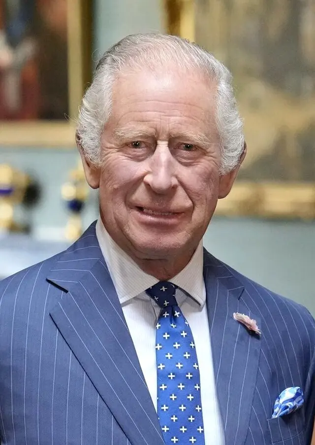 Roi Charles: The Reign of a Modern Monarch