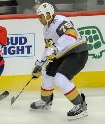 Ryan Reaves: A Powerhouse in the NHL