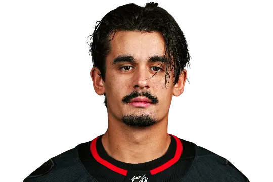 Seth Jarvis: A Promising Future in the NHL