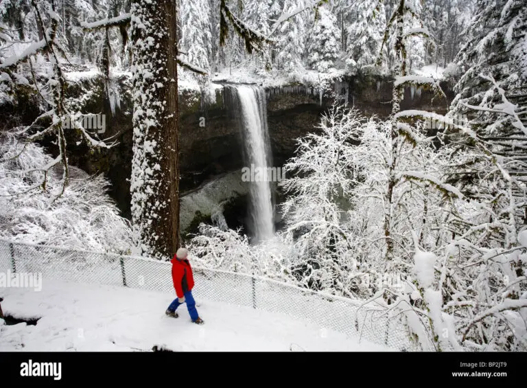 The Importance of Snow Stock for Winter Preparedness image 1
