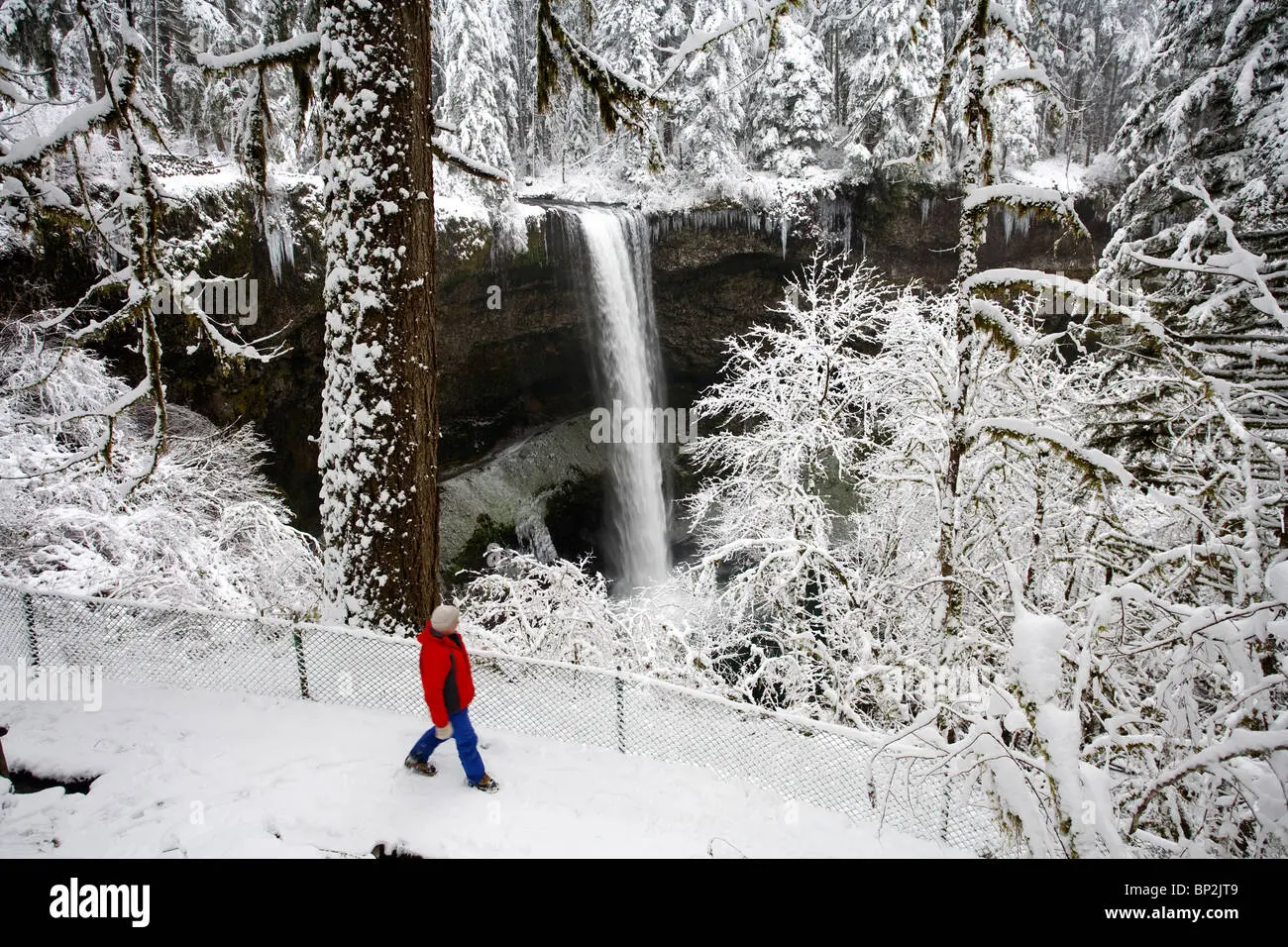 The Importance of Snow Stock for Winter Preparedness image 1