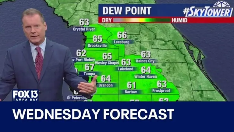 Tampa Weather: Current Trends and Forecasts