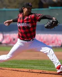 Vancouver Canadians: A Look at the Team’s Recent Performance