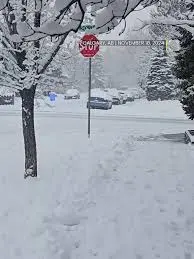 Current Weather in Calgary: What You Need to Know