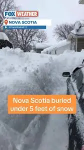 Current Weather in Halifax: Conditions and Forecast