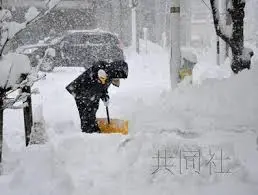 2023年加拿大天氣更新:極端氣候的影響