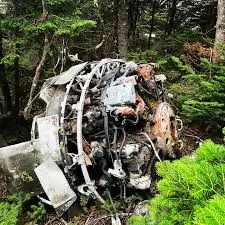 Understanding the Recent Air Medic Crash in Canada image 1