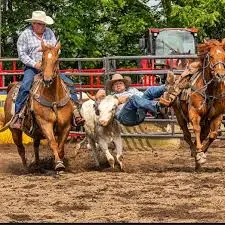 Discover the Exciting Alvinston Rodeo image 1