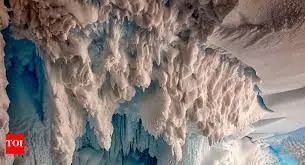 Exploring the Wonders of Antarctica image 1