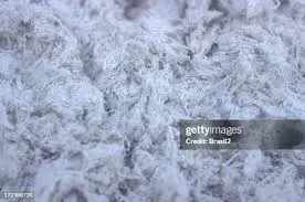 The Urgent Need to Address Asbestos Risks in Canada image 1