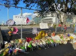 Understanding the Astroworld Tragedy and Its Implications image 1