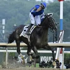 The Significance of the Belmont Stakes in Horse Racing image 1