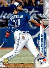 The Toronto Blue Jays Baseball: A Season in Review