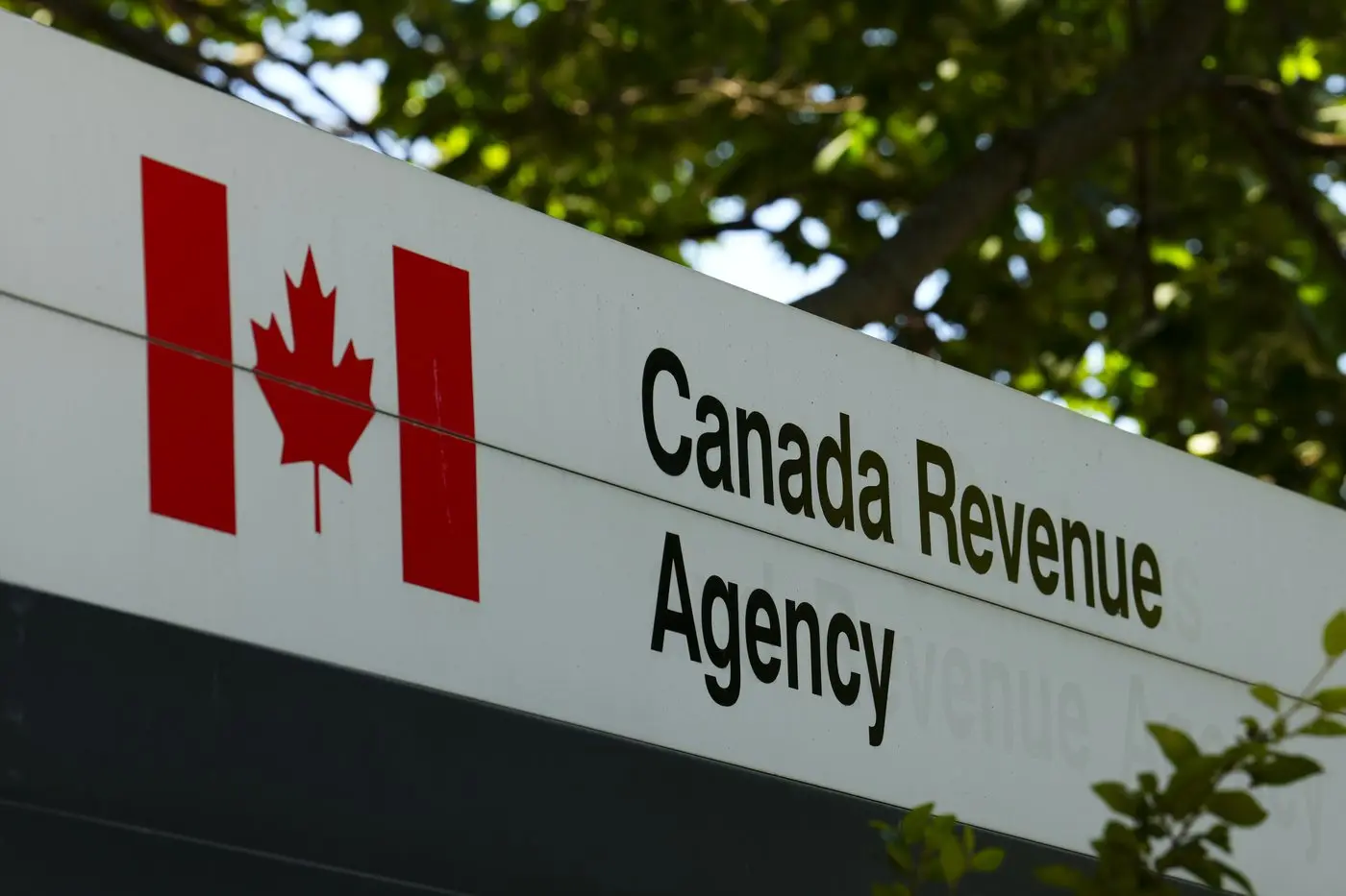 Understanding the Canada Revenue Agency: Roles and Responsibilities