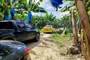 Chiquita Banana Announces Layoffs in Panama: Impact and Implications