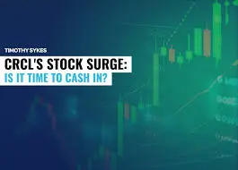 Understanding CRCL Stock: A Comprehensive Overview