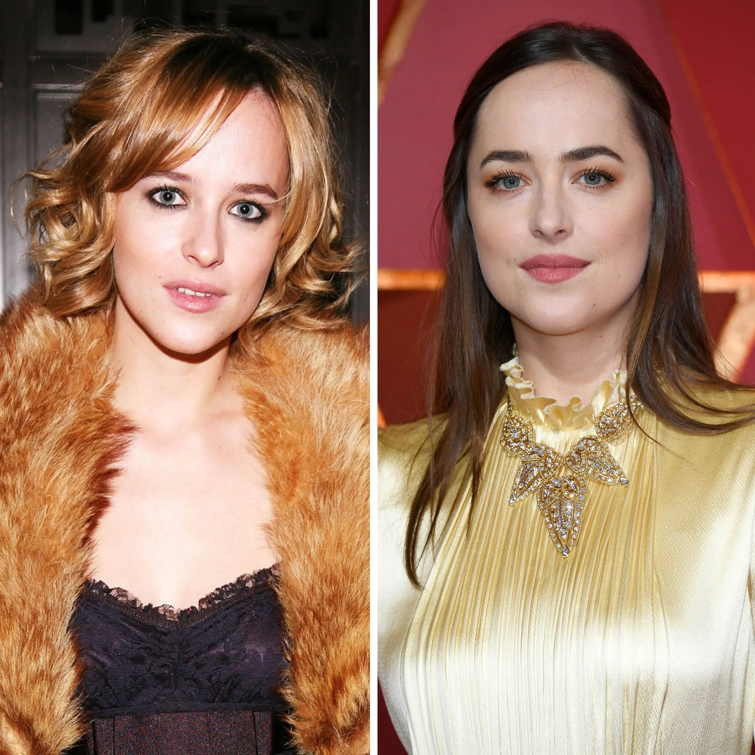 Dakota Johnson: The Journey of a Hollywood Star