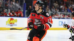 L’importance croissante de l’ECHL dans le hockey professionnel