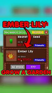 How to Grow a Garden with Ember Lily Seeds image 1