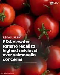 FDA Tomato Recall: Essential Insights on Salmonella Risk