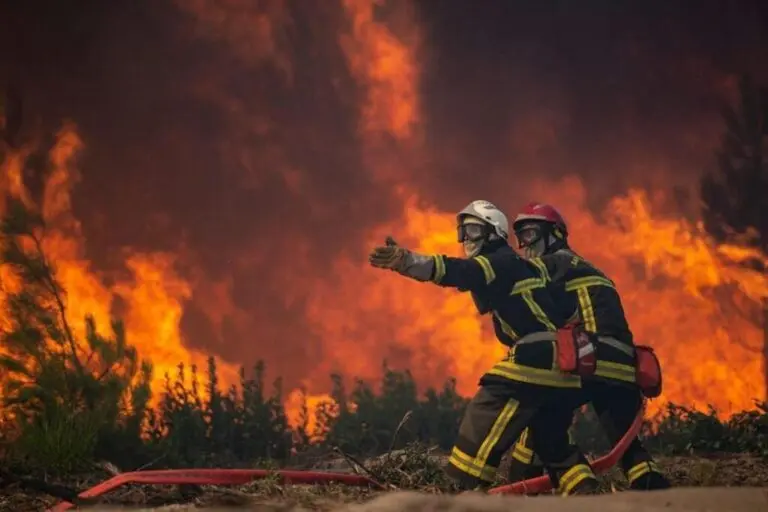L’importance de la Prévention des Feux de Forêt