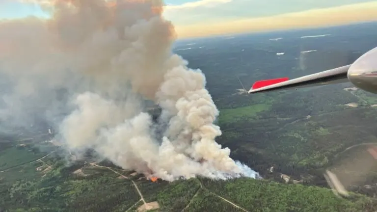 Understanding the Current State of Forest Fires in Ontario image 1