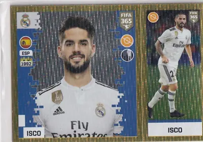 Understanding ISCO: The International Standard for Classification of Occupations