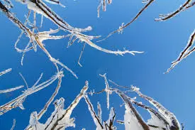 Kingston Weather: What to Expect This Week