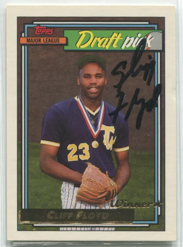 The Impact of Major League Sports on Society image 1