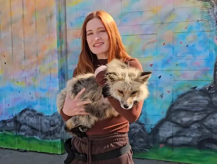 Mikayla Raines and the Save A Fox Initiative image 1