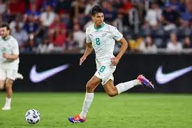 Exploring the New Zealand All Whites: Recent Developments