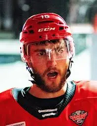 The Impact of Nicolas Roy in the NHL image 1