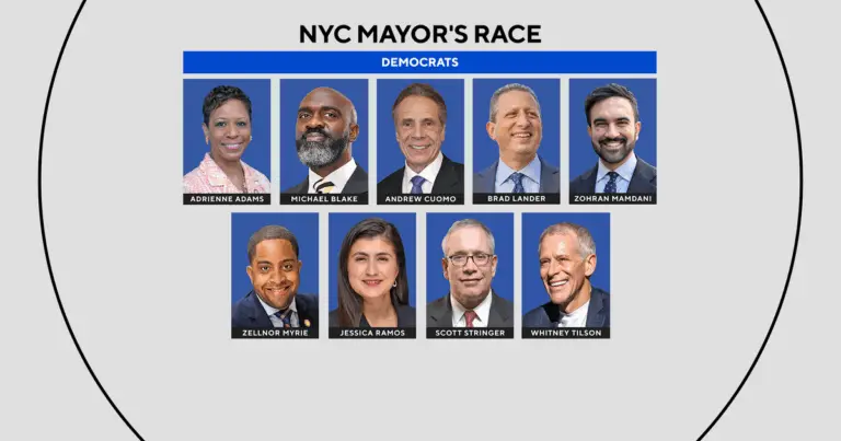 Overview of the 2023 NYC Mayoral Election image 1