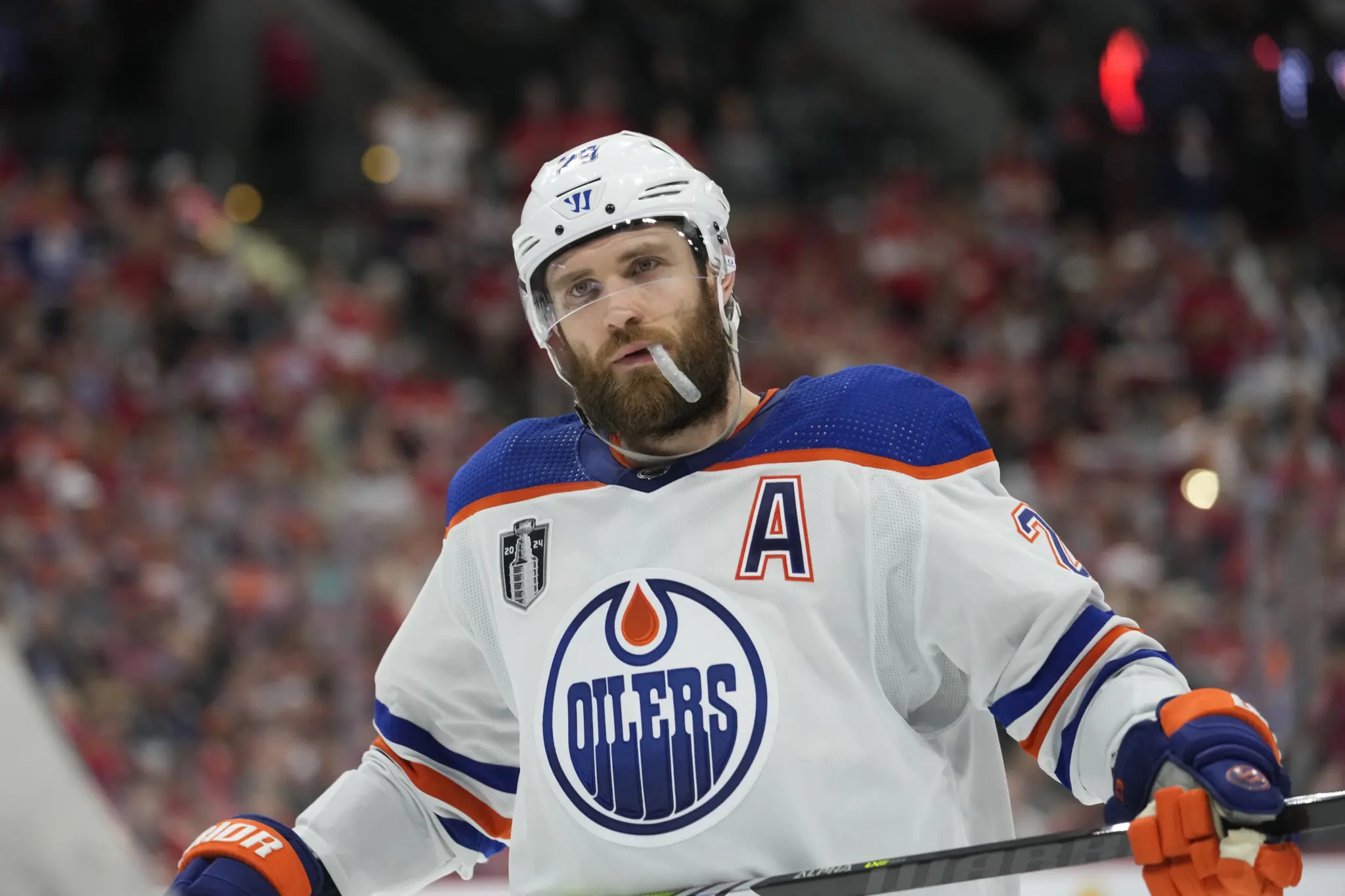 Edmonton Oilers NHL Season Update image 1