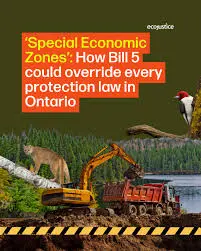 Overview of Ontario Bill 5 and Its Impact image 1