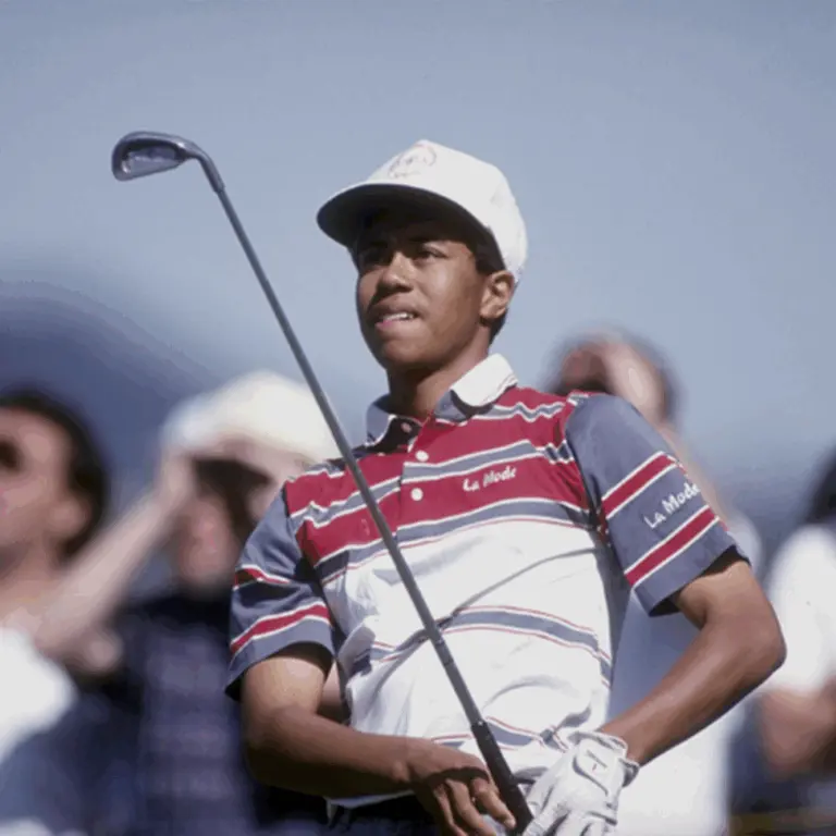 The Significance of the PGA Tour in Professional Golf image 1